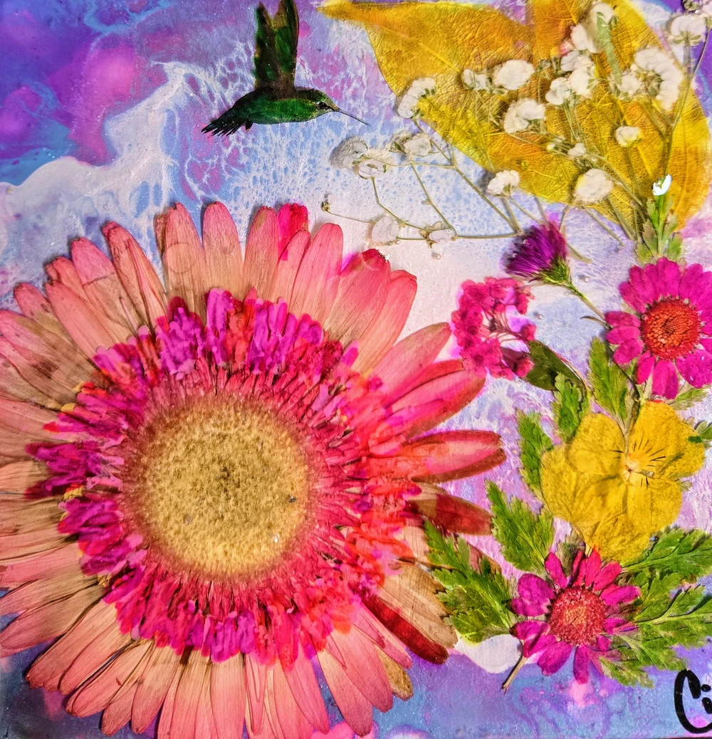 PINK/MAROON DALIAS - Image 2