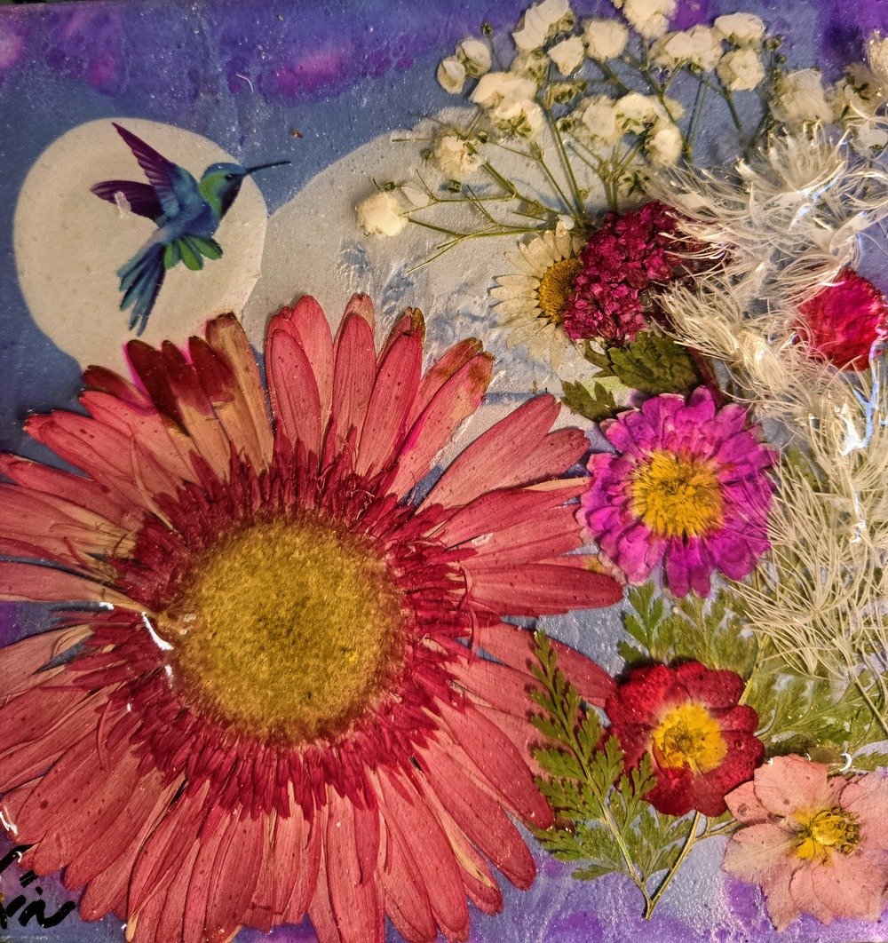 PINK/MAROON DALIAS - Image 4