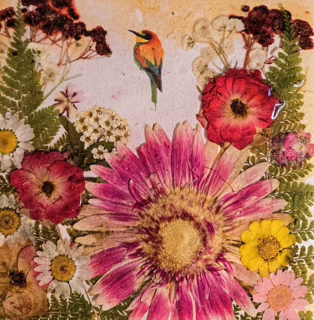 PINK/MAROON DALIAS - Image 7