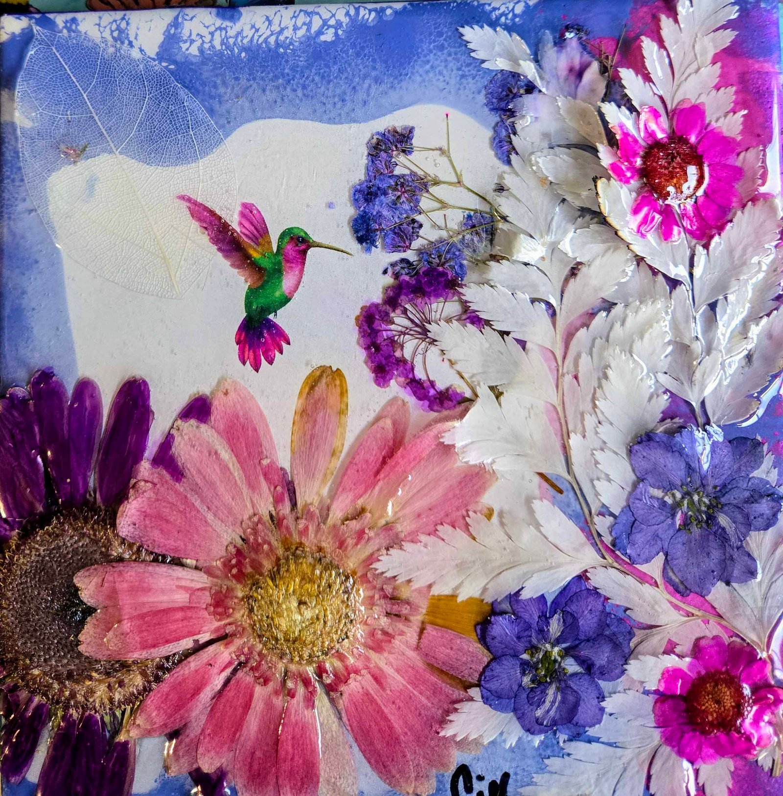 WHITE FERN VALLEY - Image 5