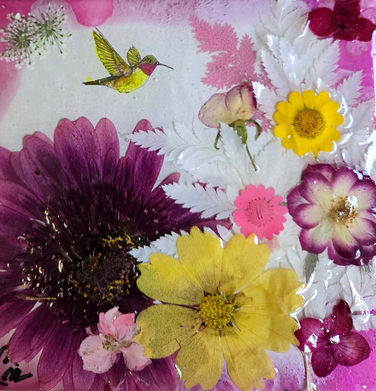 WHITE FERN VALLEY - Image 9