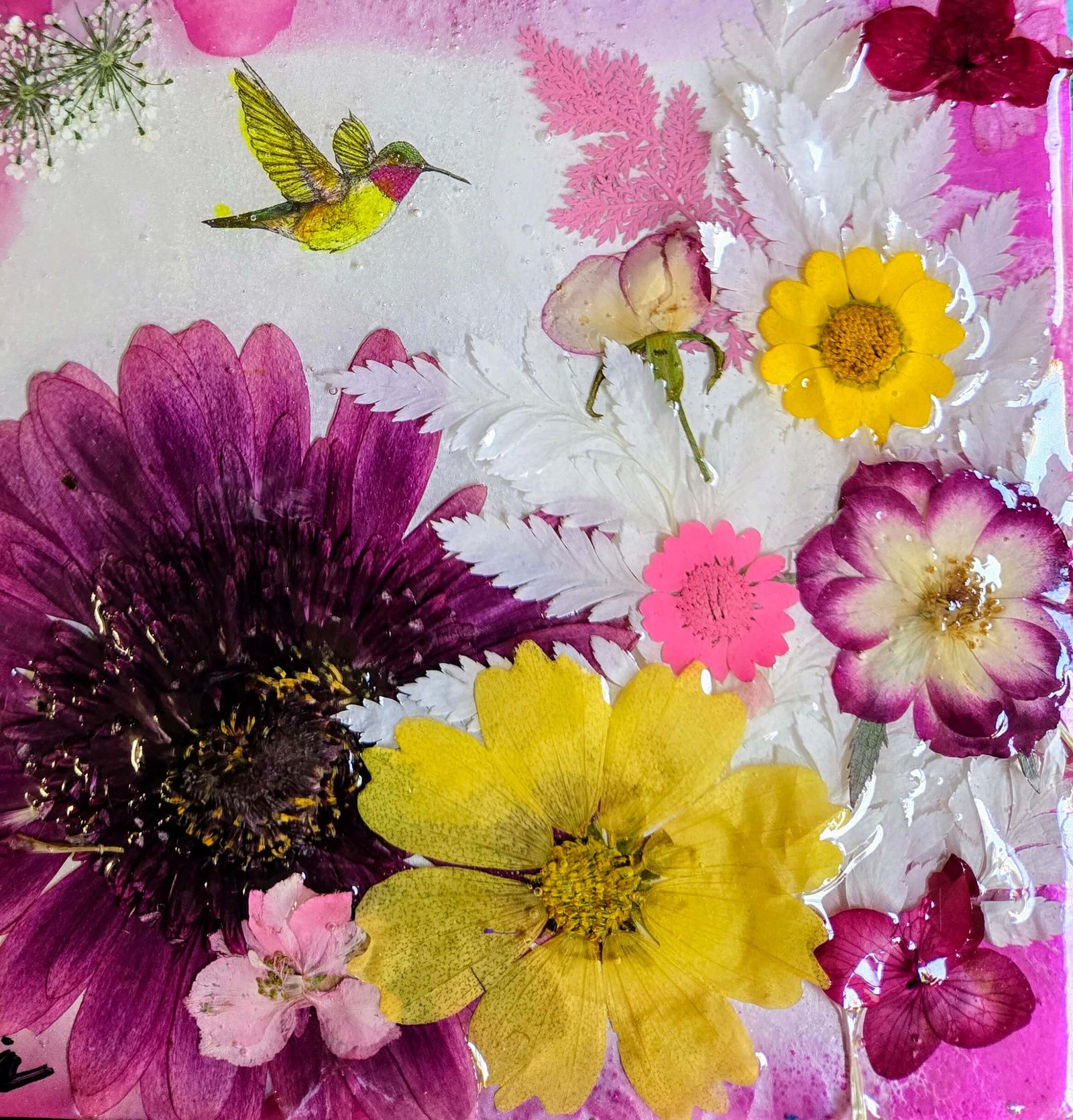 WHITE FERN VALLEY - Image 12