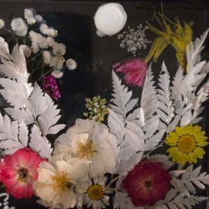 DAISEYLAND @ TWILIGHT