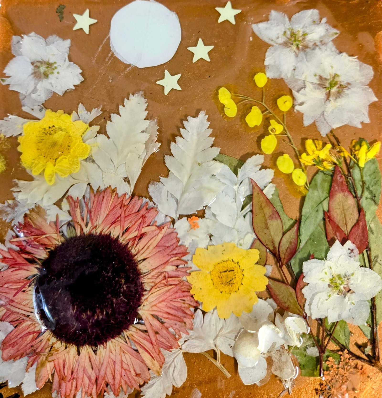 AUTUMN NIGHTS - Image 2