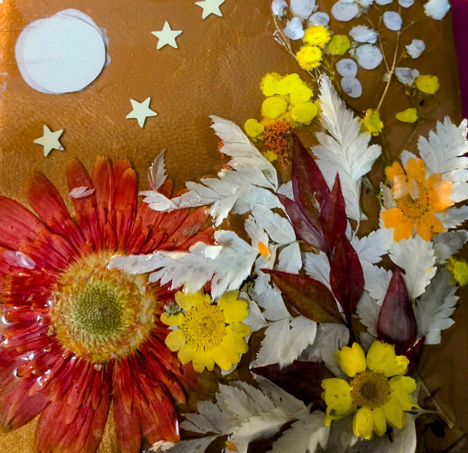 AUTUMN NIGHTS - Image 3