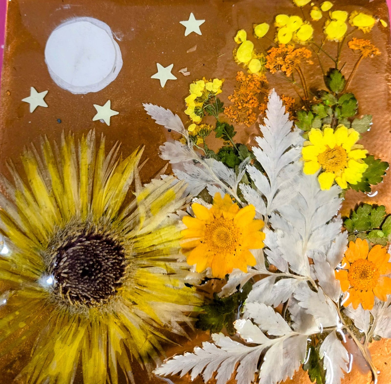 AUTUMN NIGHTS - Image 4