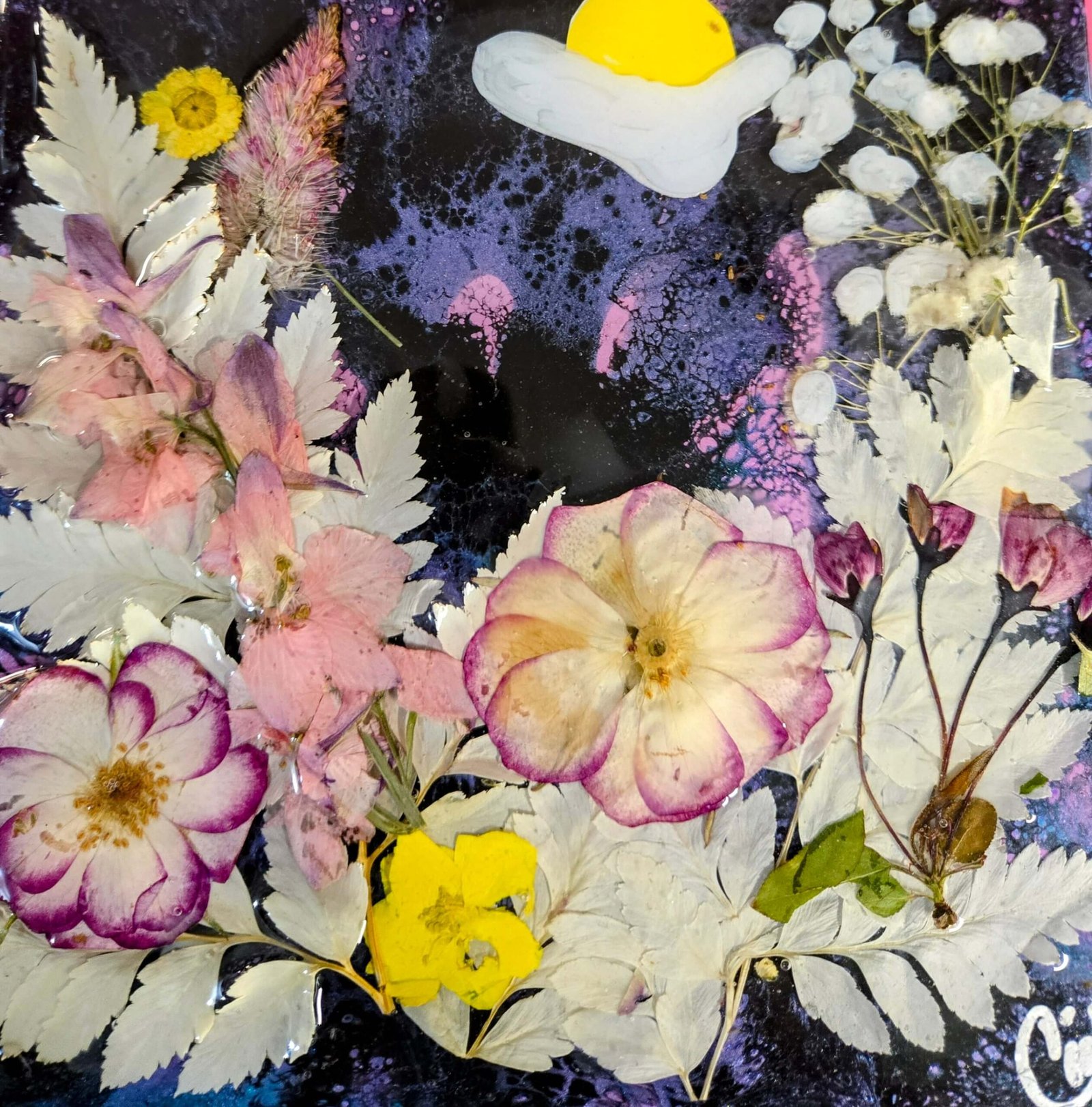 PARADISE DAWN - Image 2