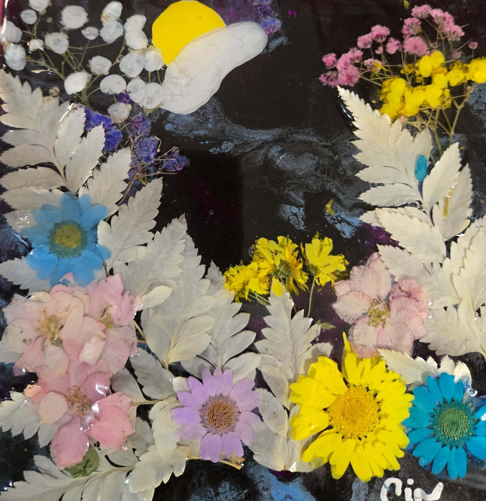 PARADISE DAWN - Image 3