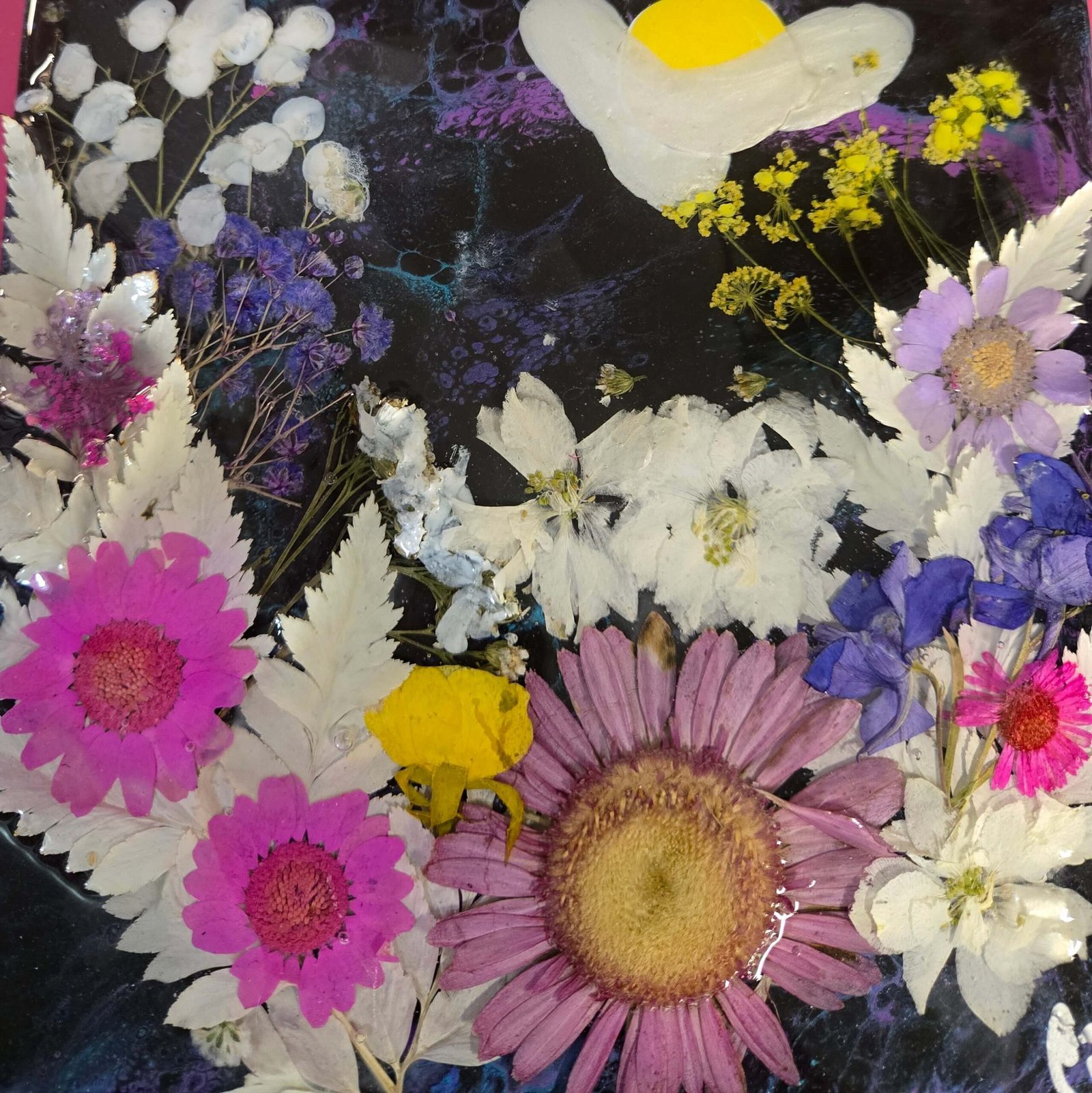 PARADISE DAWN - Image 4